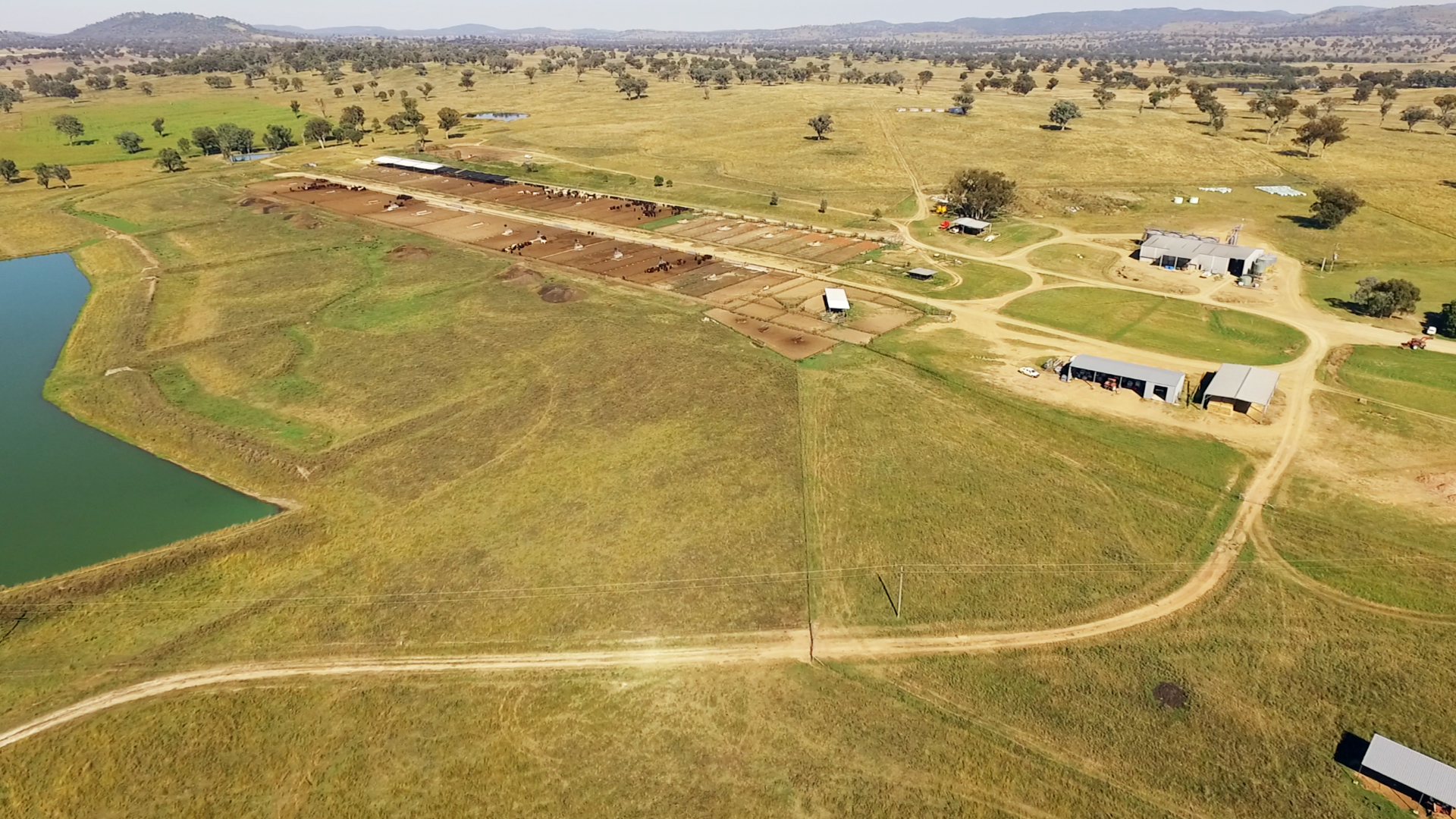 Tulimba-Feedlot-3