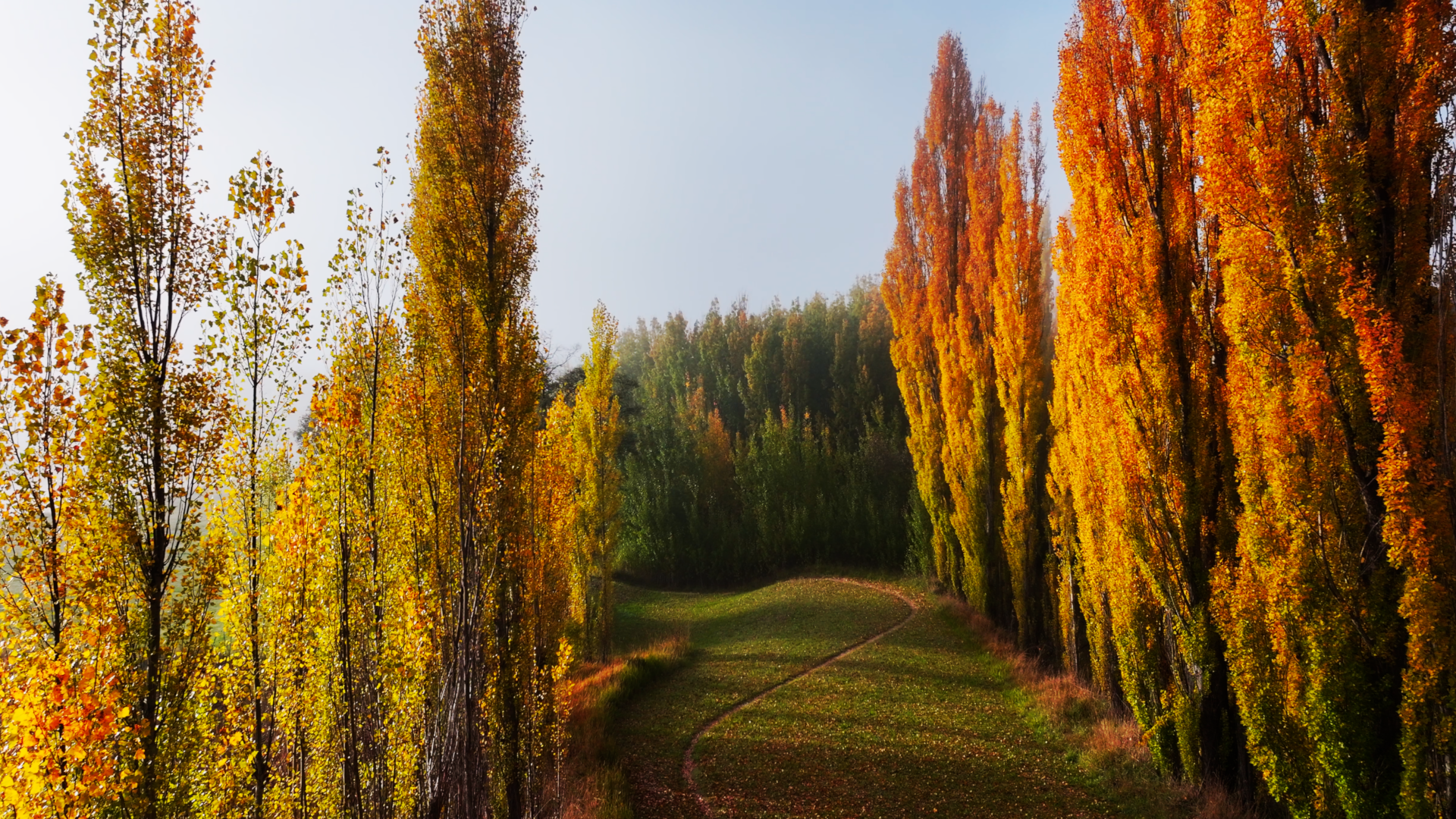 Autumn 2025 short edit