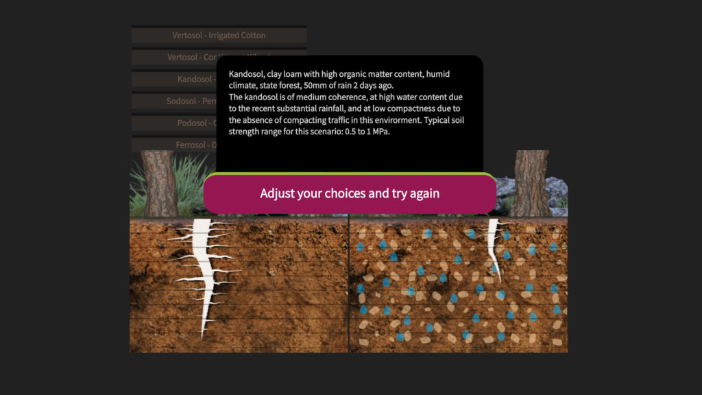 interactive-simulation